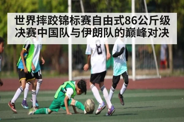 世界摔跤锦标赛自由式86公斤级决赛中国队与伊朗队的巅峰对决